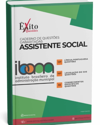 Assistente Social