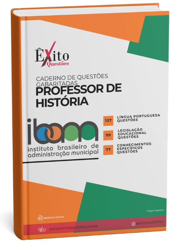 Professor de História