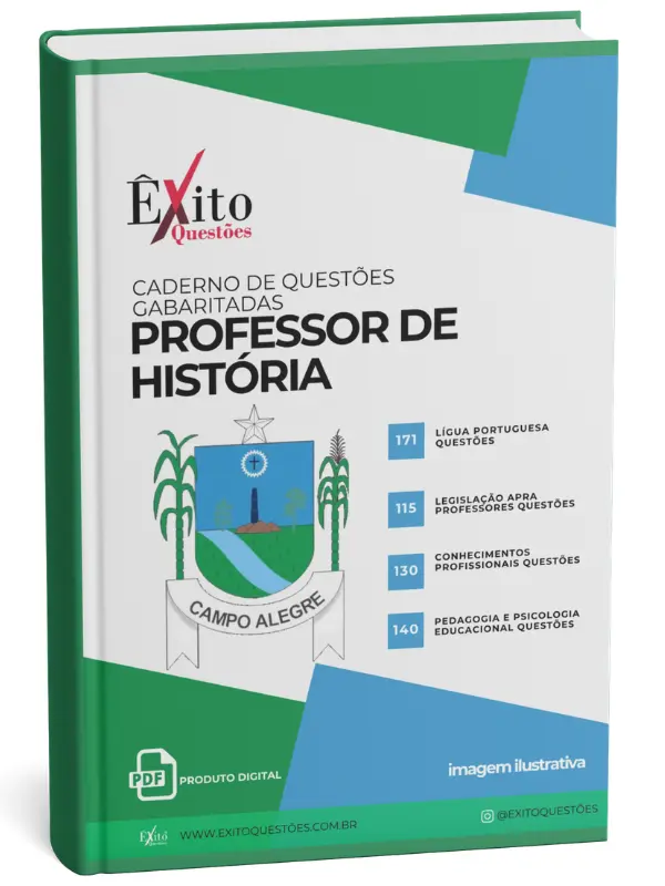 Professor de História